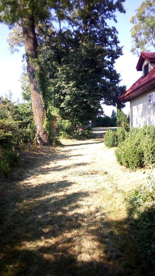 Farma Twoj Azyl Świdnik